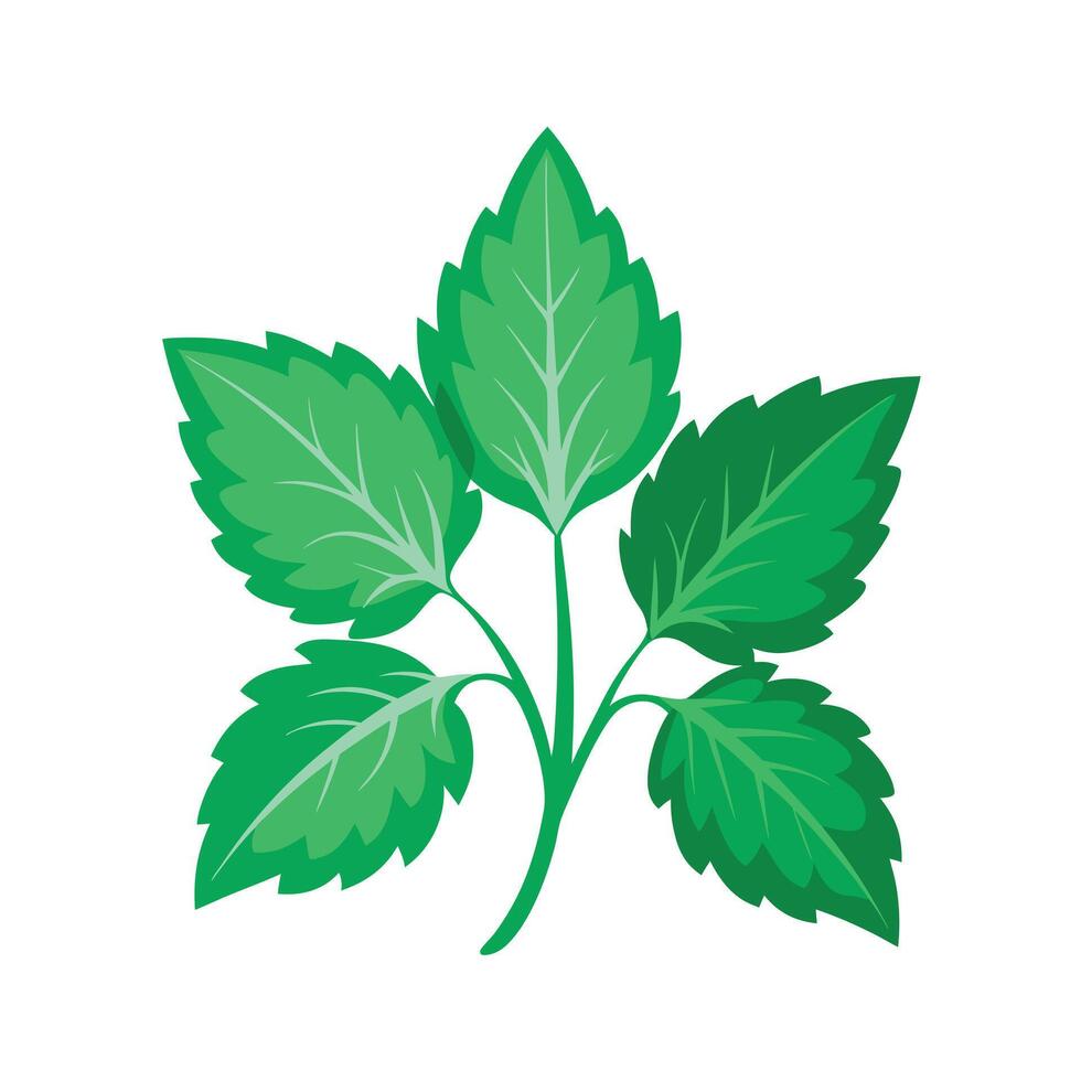 Realistic Beautiful Leaves Illustration vector