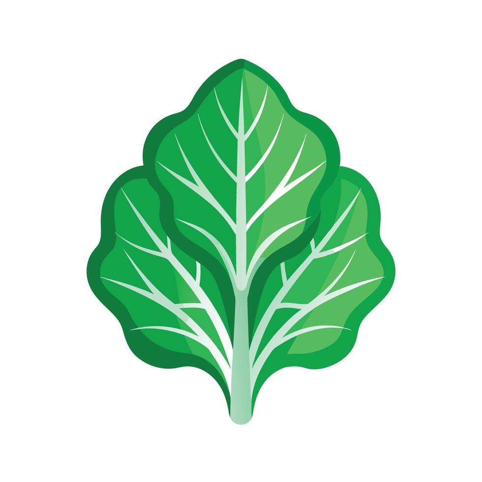 Realistic Beautiful Leaves Illustration vector