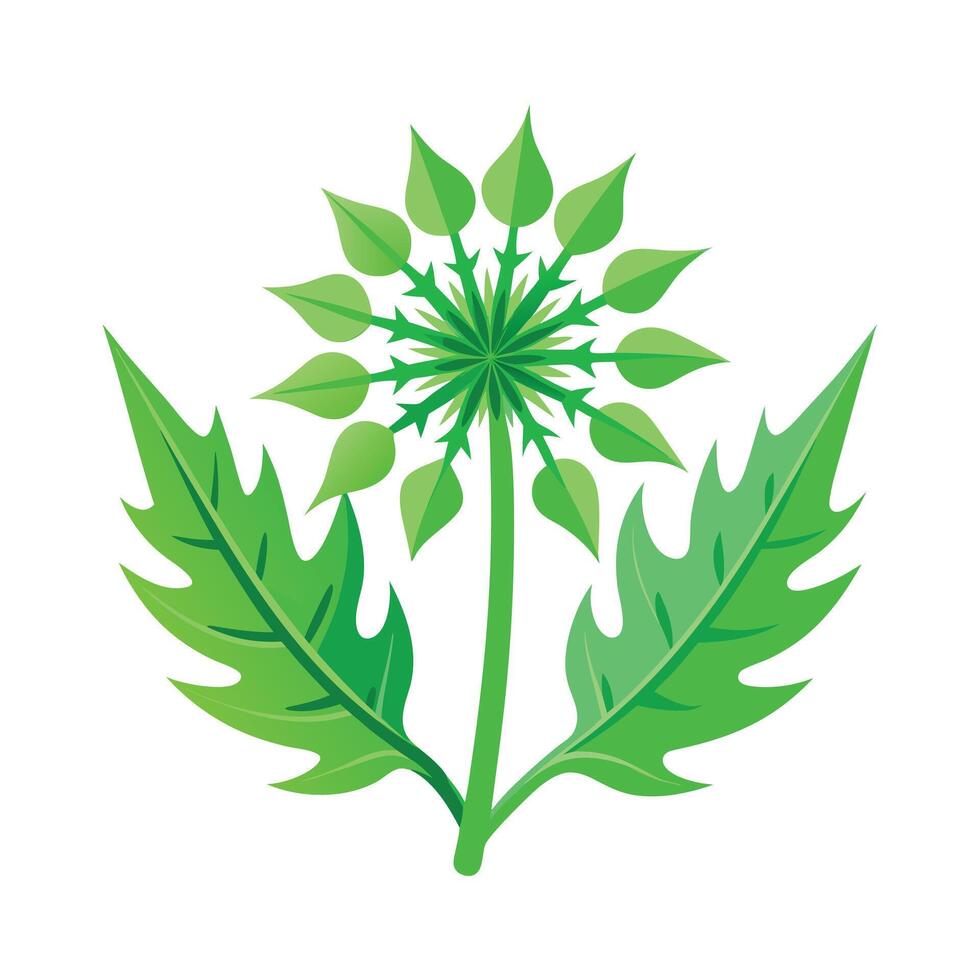 Realistic Beautiful Leaves Illustration vector
