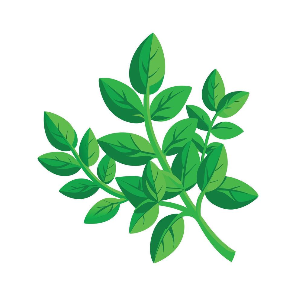 Realistic Beautiful Leaves Illustration vector