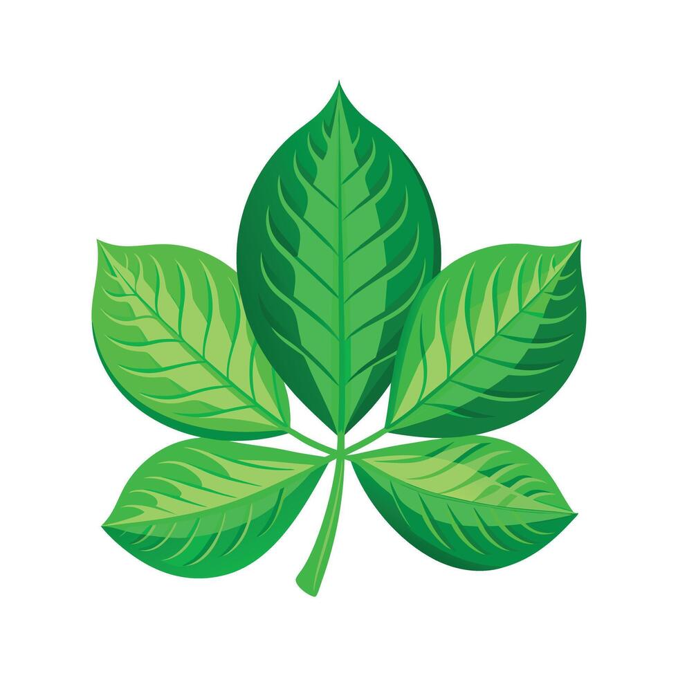Realistic Beautiful Leaves Illustration vector