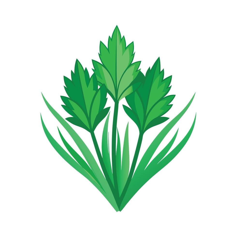 Realistic Beautiful Leaves Illustration vector