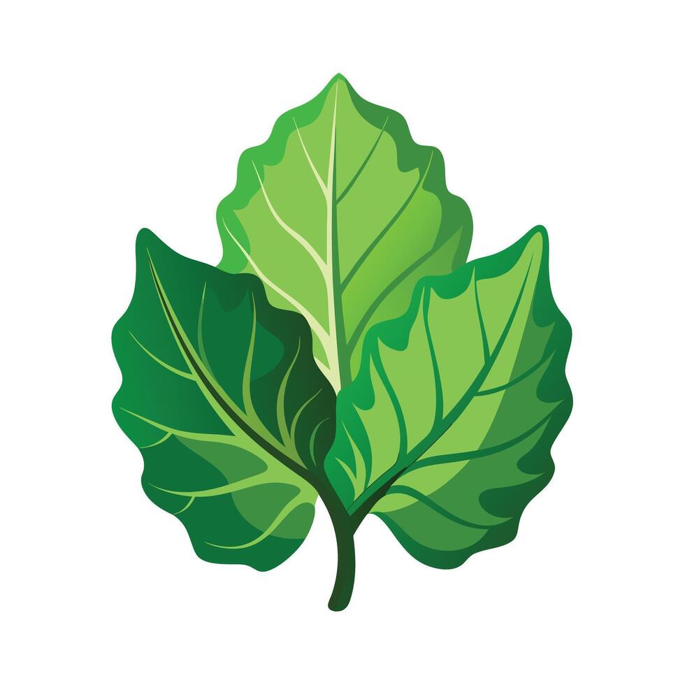 Realistic Beautiful Leaves Illustration vector