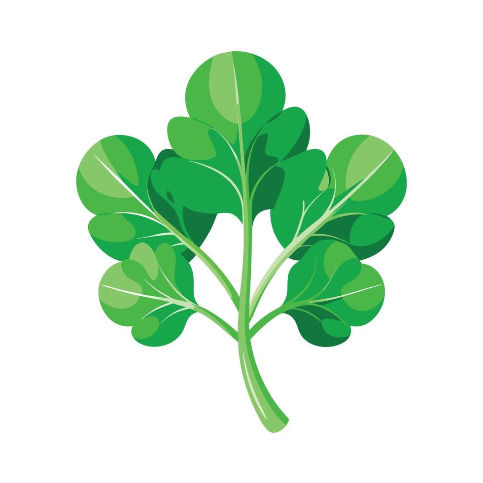 Realistic Beautiful Leaves Illustration vector
