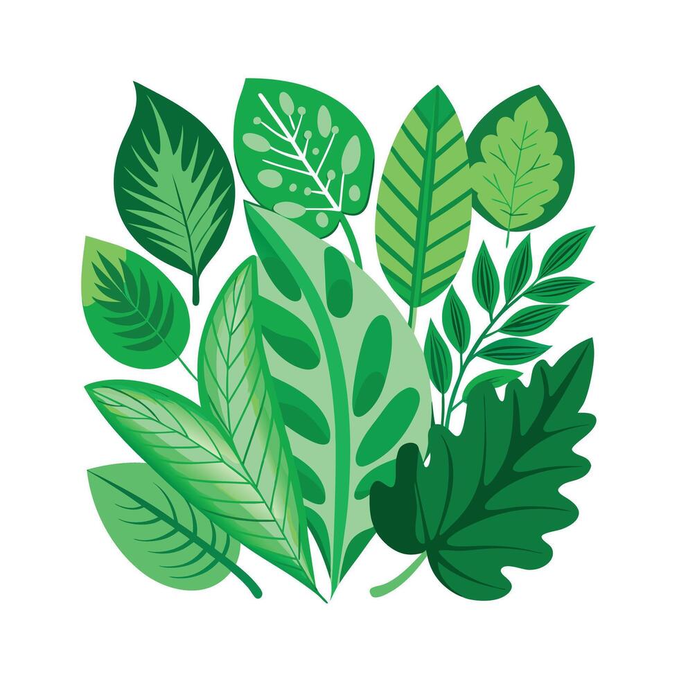 Realistic Beautiful Leaves Illustration vector