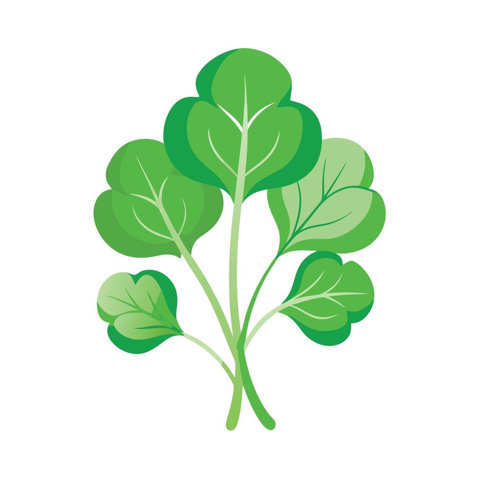 Realistic Beautiful Leaves Illustration vector