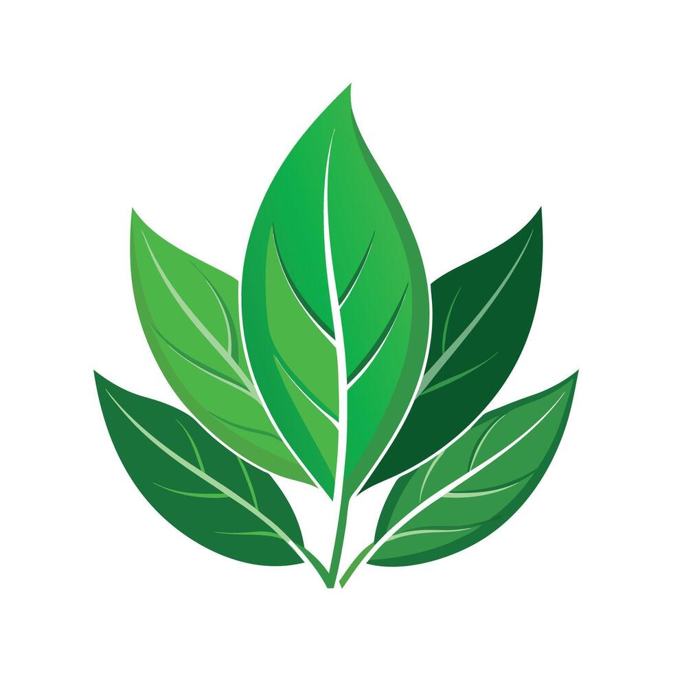Realistic Beautiful Leaves Illustration vector