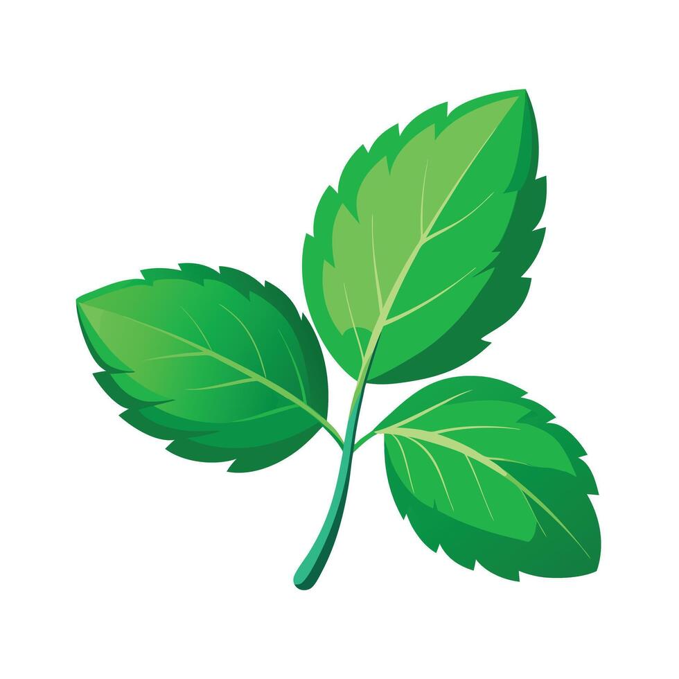 Realistic Beautiful Leaves Illustration vector