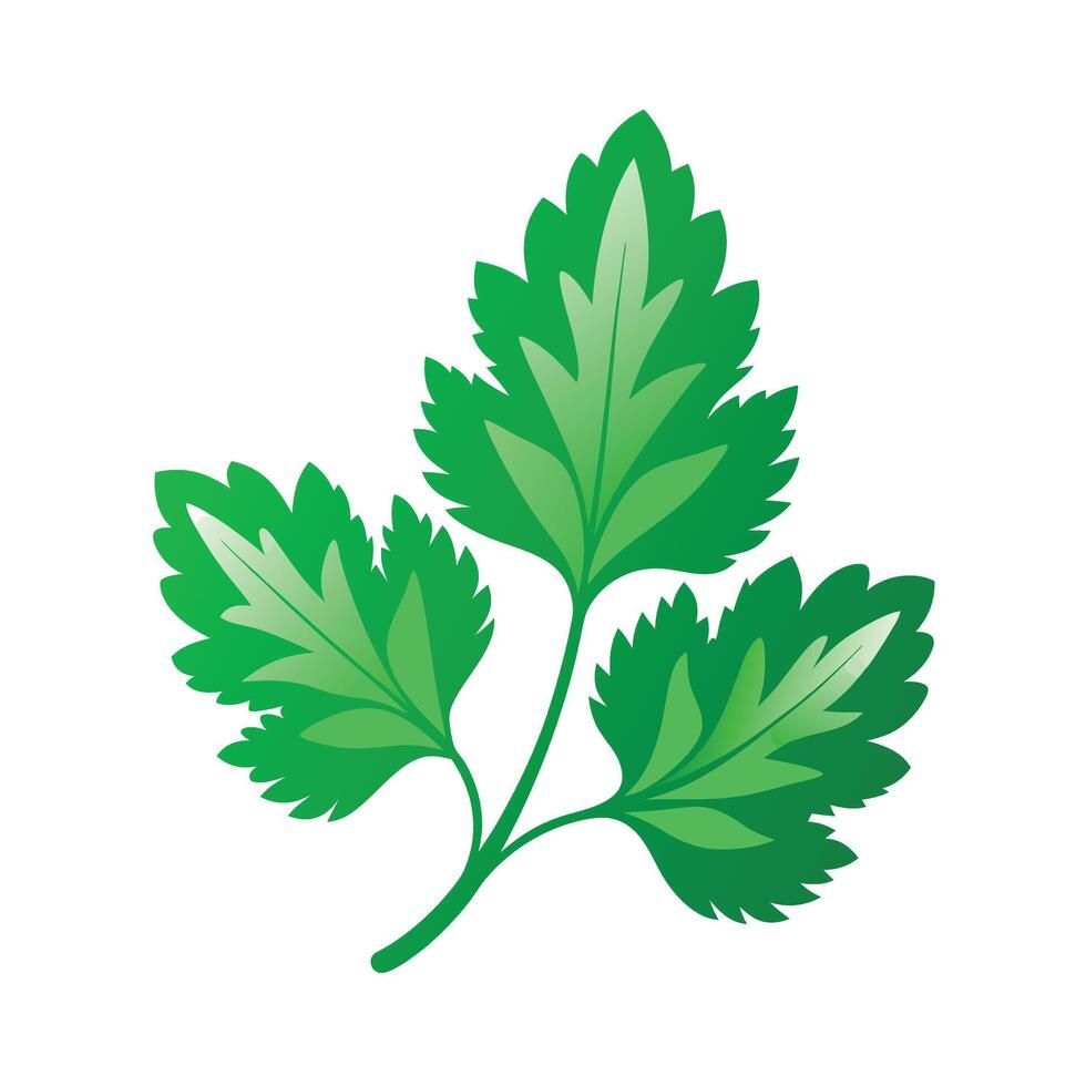 Realistic Beautiful Leaves Illustration vector