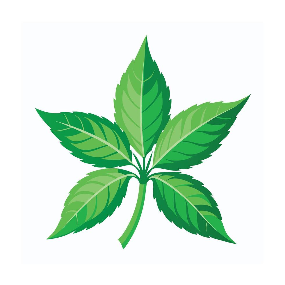 Realistic Beautiful Leaves Illustration vector