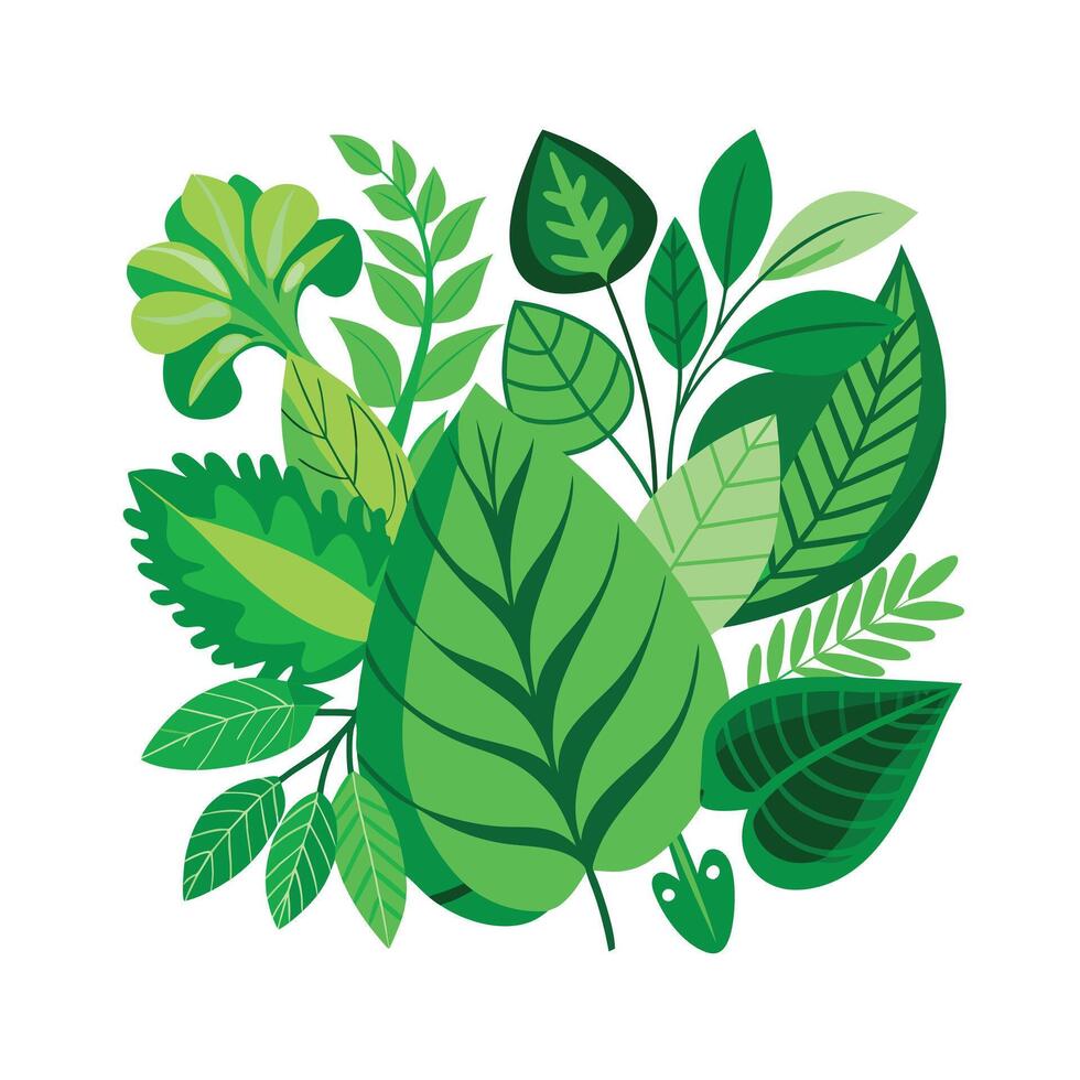 Realistic Beautiful Leaves Illustration vector