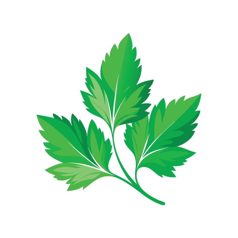 Realistic Beautiful Leaves Illustration vector
