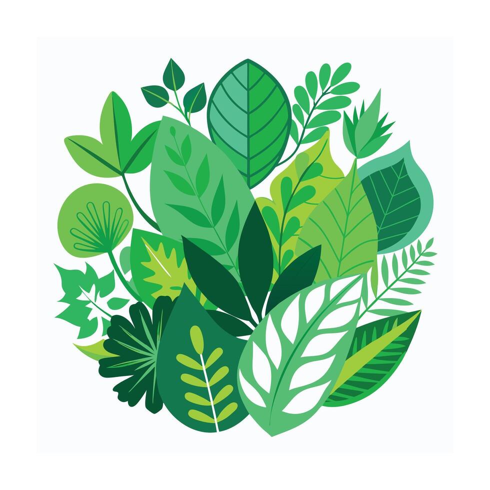Realistic Beautiful Leaves Illustration vector