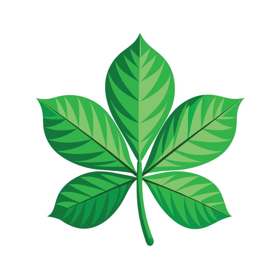 Realistic Beautiful Leaves Illustration vector