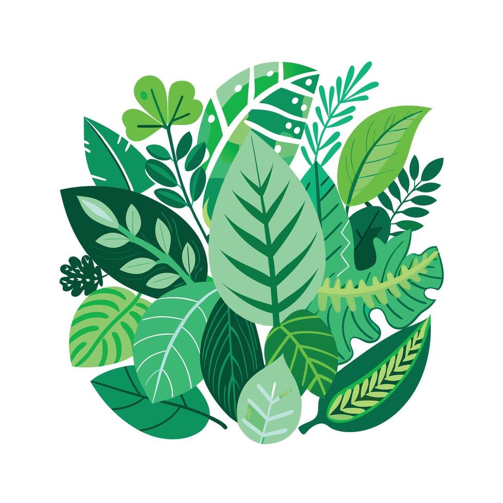 Realistic Beautiful Leaves Illustration vector