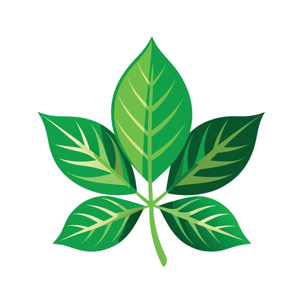 Realistic Beautiful Leaves Illustration vector