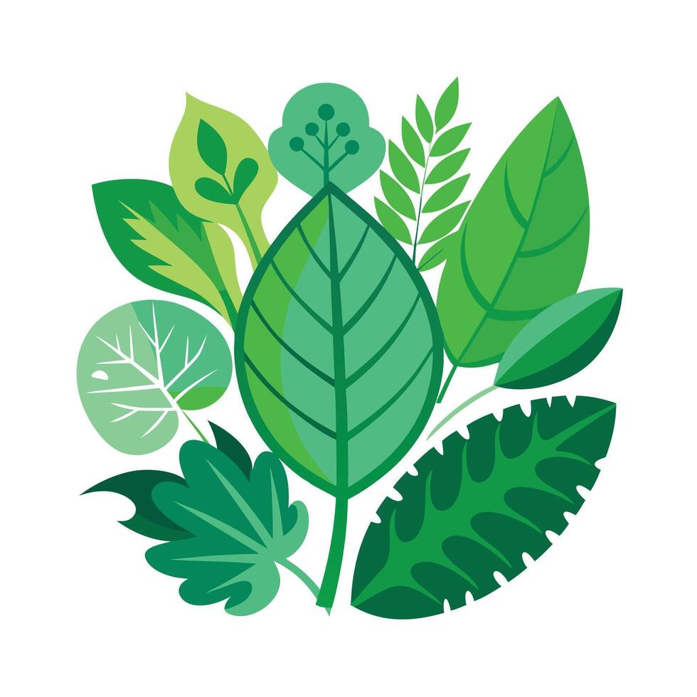 Realistic Beautiful Leaves Illustration vector