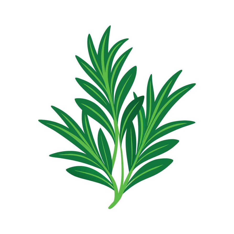 Realistic Beautiful Leaves Illustration vector