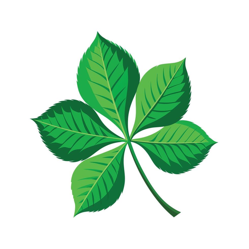Realistic Beautiful Leaves Illustration vector