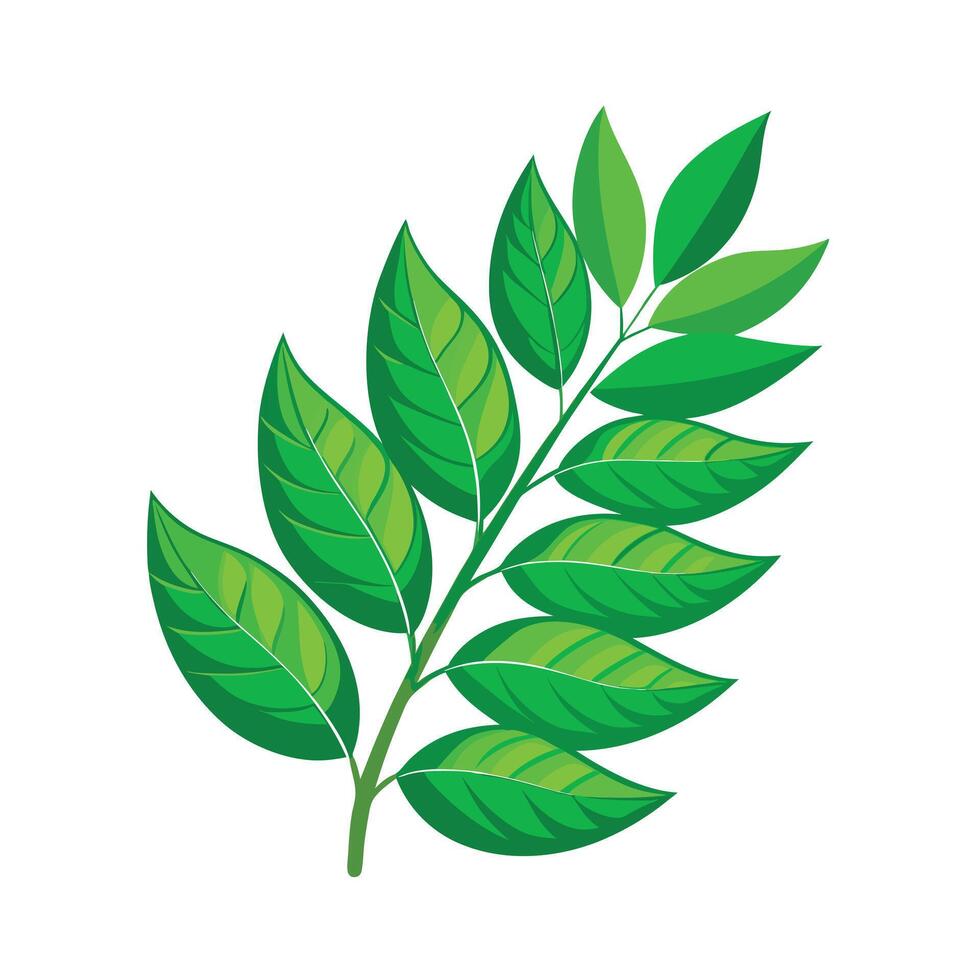 Realistic Beautiful Leaves Illustration vector