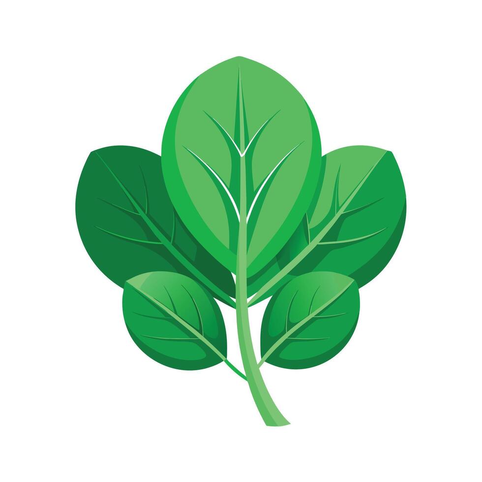 Realistic Beautiful Leaves Illustration vector