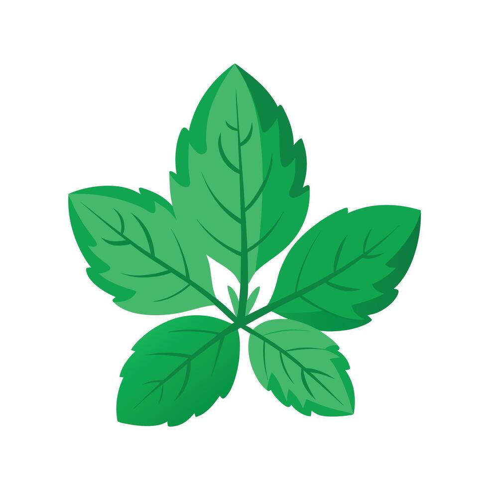 Realistic Beautiful Leaves Illustration vector