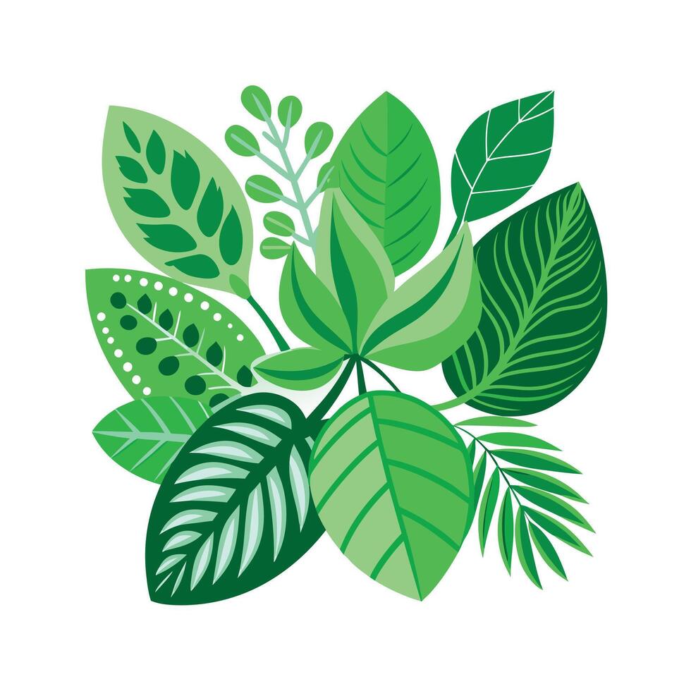 Realistic Beautiful Leaves Illustration vector