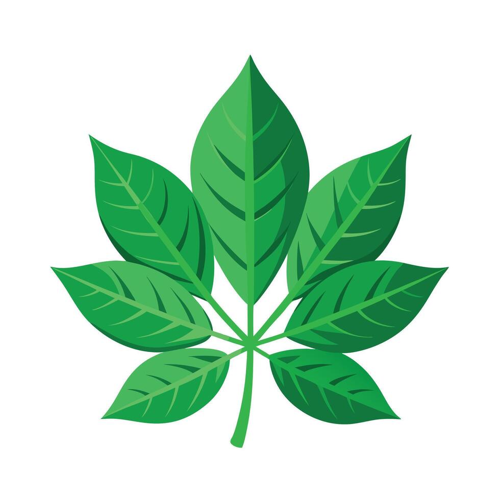 Realistic Beautiful Leaves Illustration vector