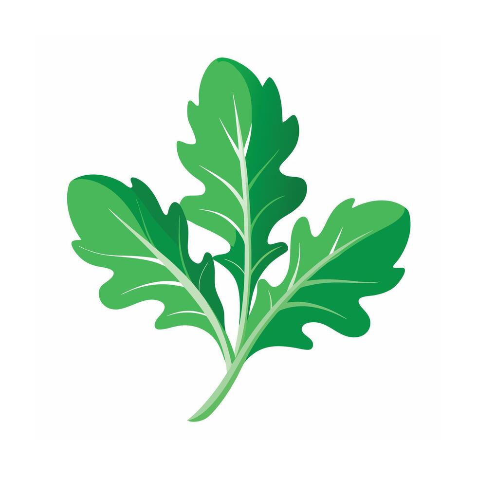 Realistic Beautiful Leaves Illustration vector