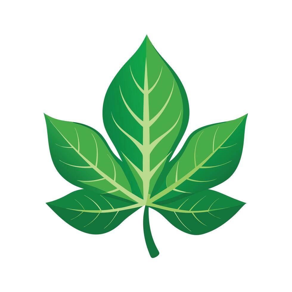 Realistic Beautiful Leaves Illustration vector