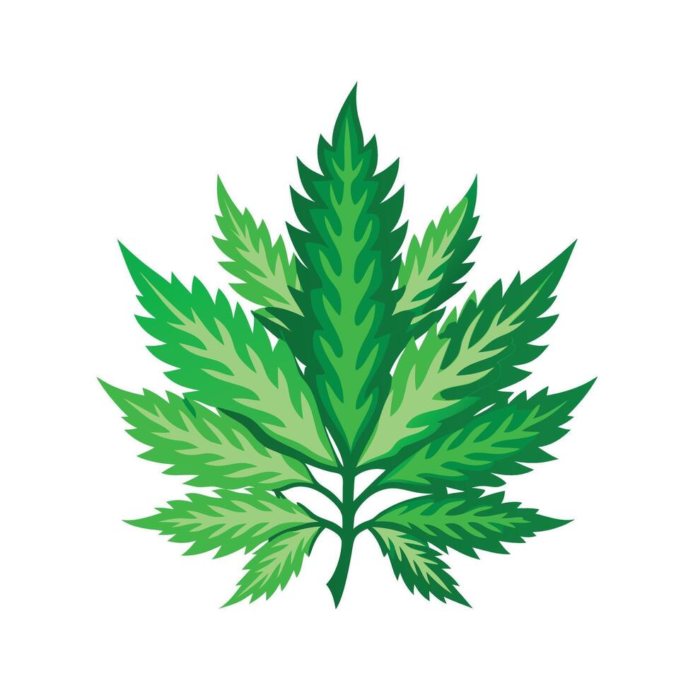 Realistic Beautiful Leaves Illustration vector