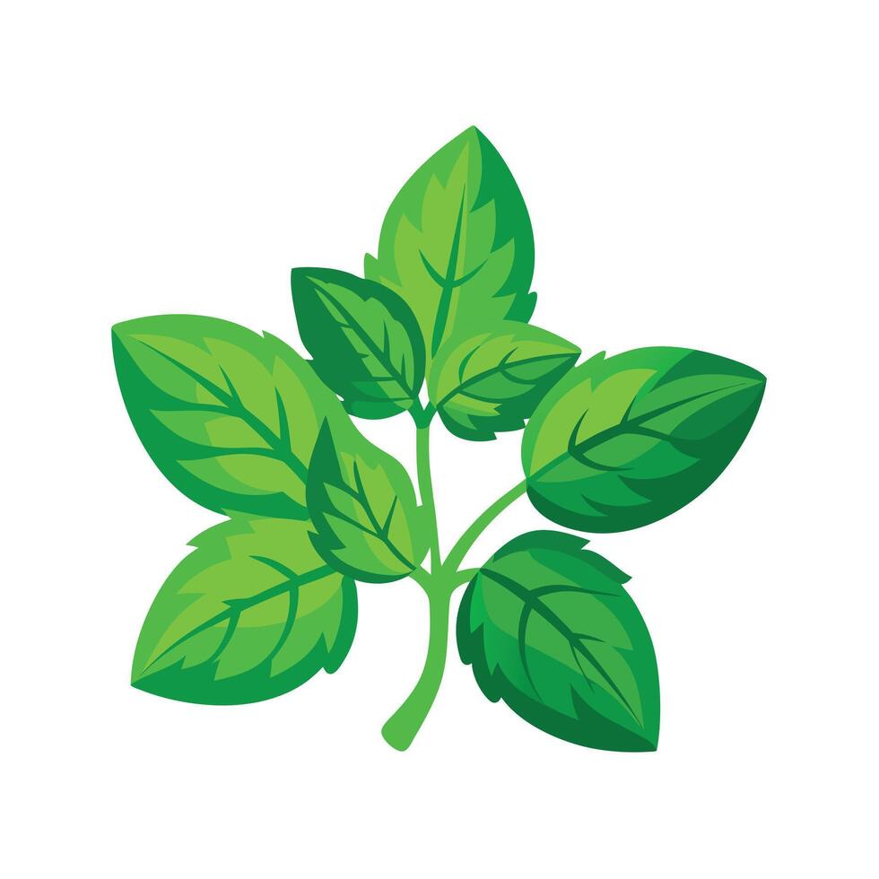 Realistic Beautiful Leaves Illustration vector
