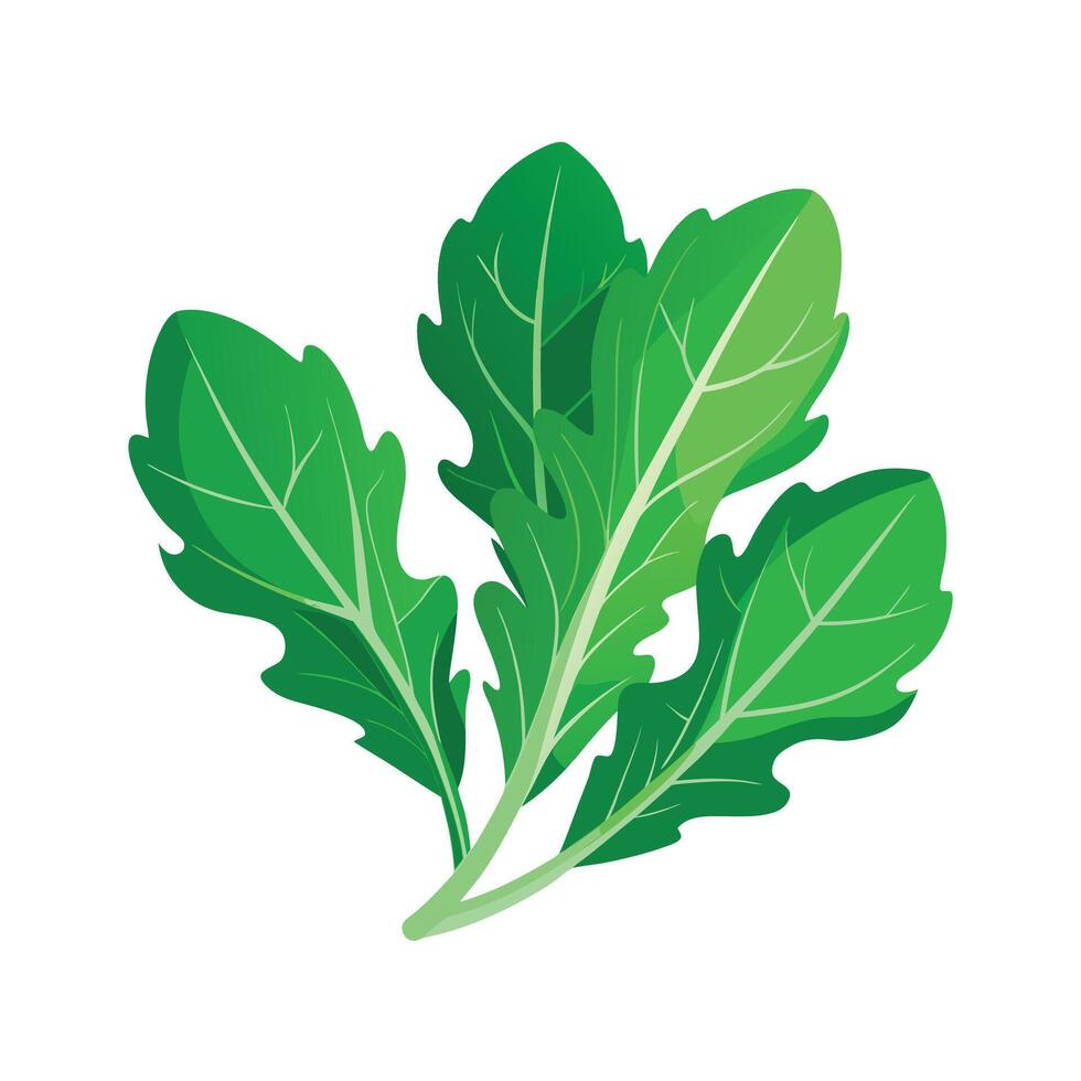 Realistic Beautiful Leaves Illustration vector