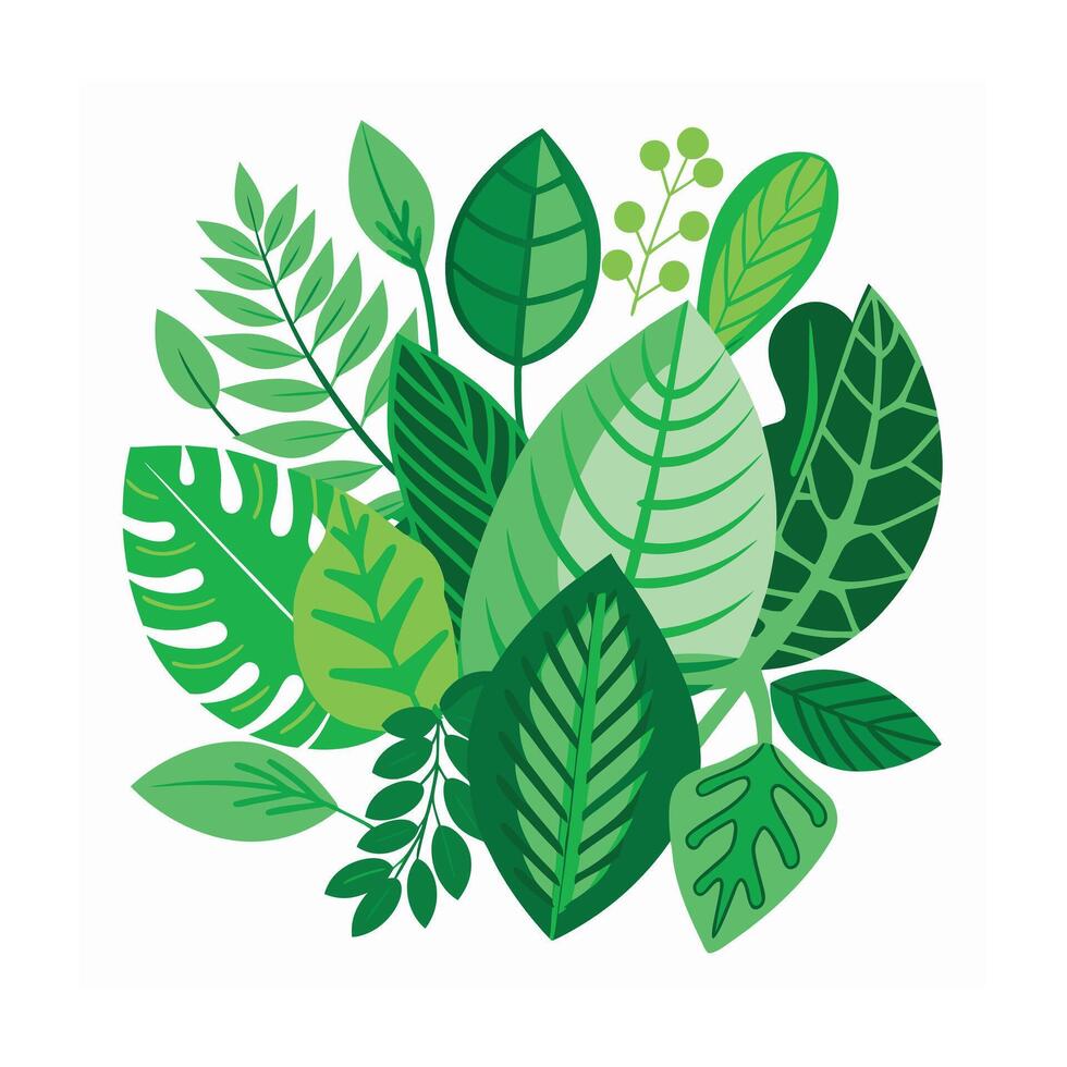 Realistic Beautiful Leaves Illustration vector