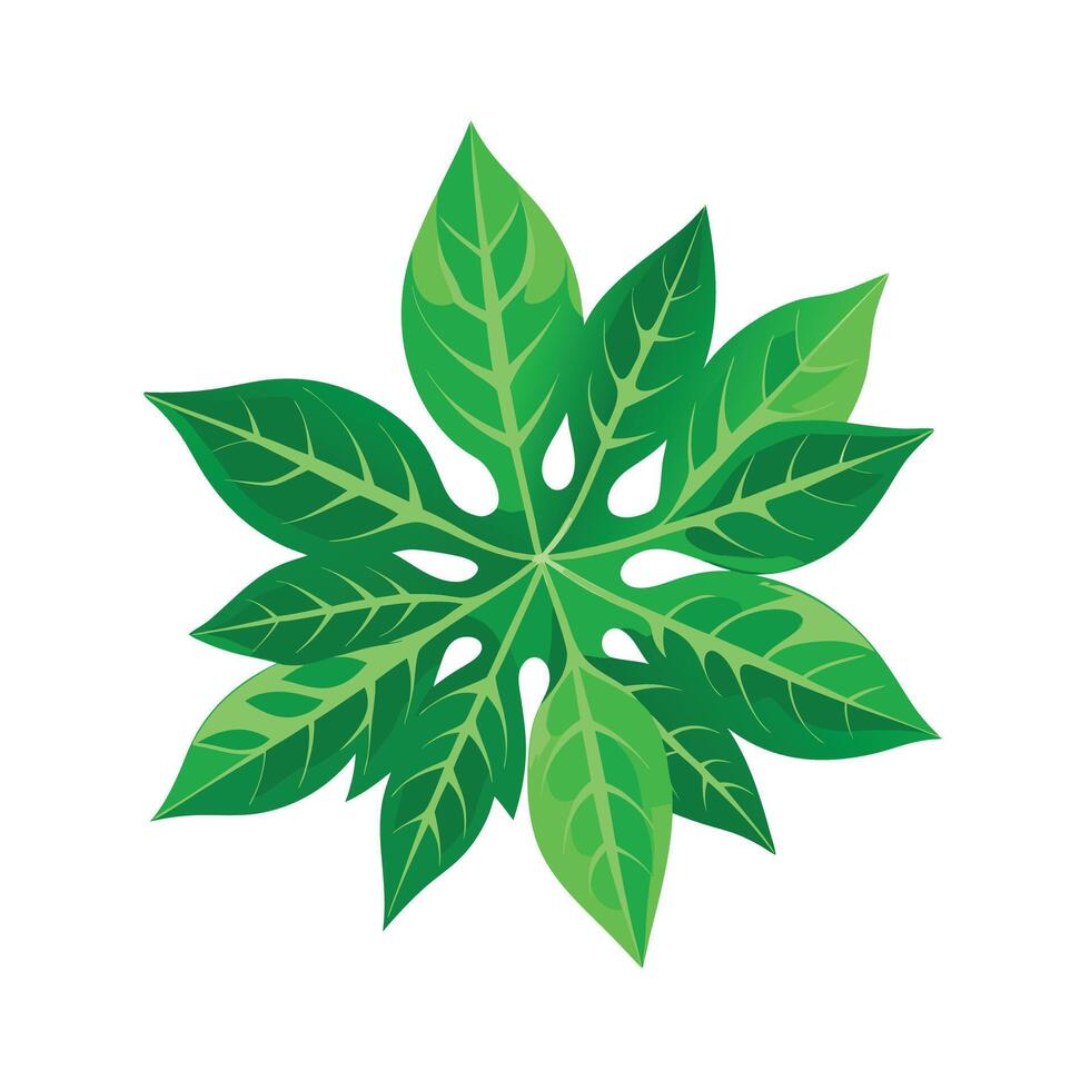 Realistic Beautiful Leaves Illustration vector