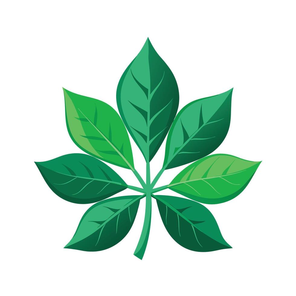 Realistic Beautiful Leaves Illustration vector