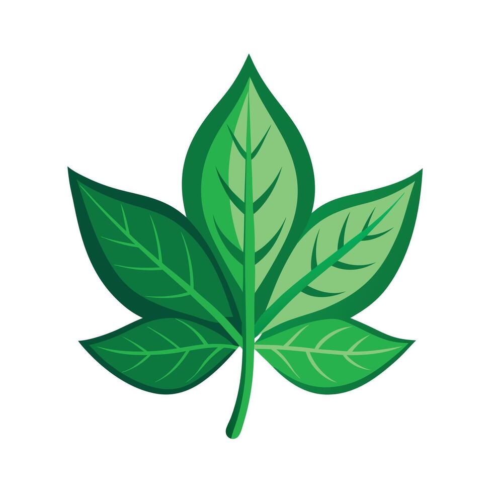 Realistic Beautiful Leaves Illustration vector
