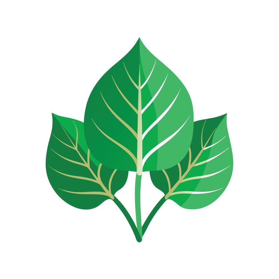 Realistic Beautiful Leaves Illustration vector