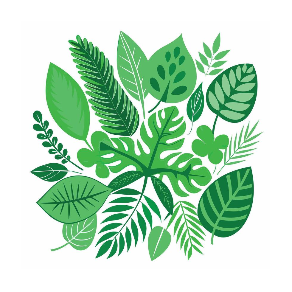 Realistic Beautiful Leaves Illustration vector