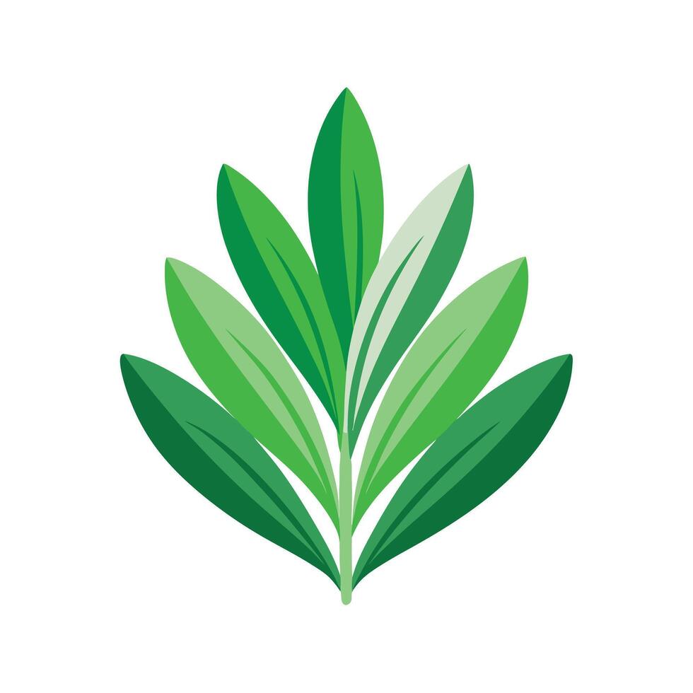 Realistic Beautiful Leaves Illustration vector