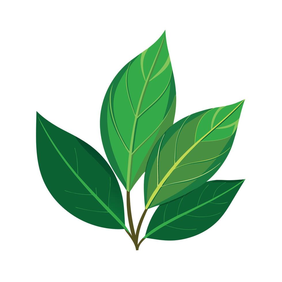 Realistic Beautiful Leaves Illustration vector