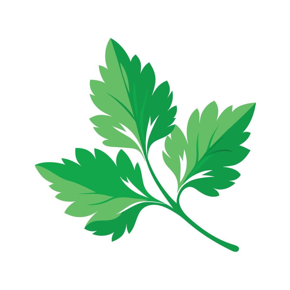 Realistic Beautiful Leaves Illustration vector
