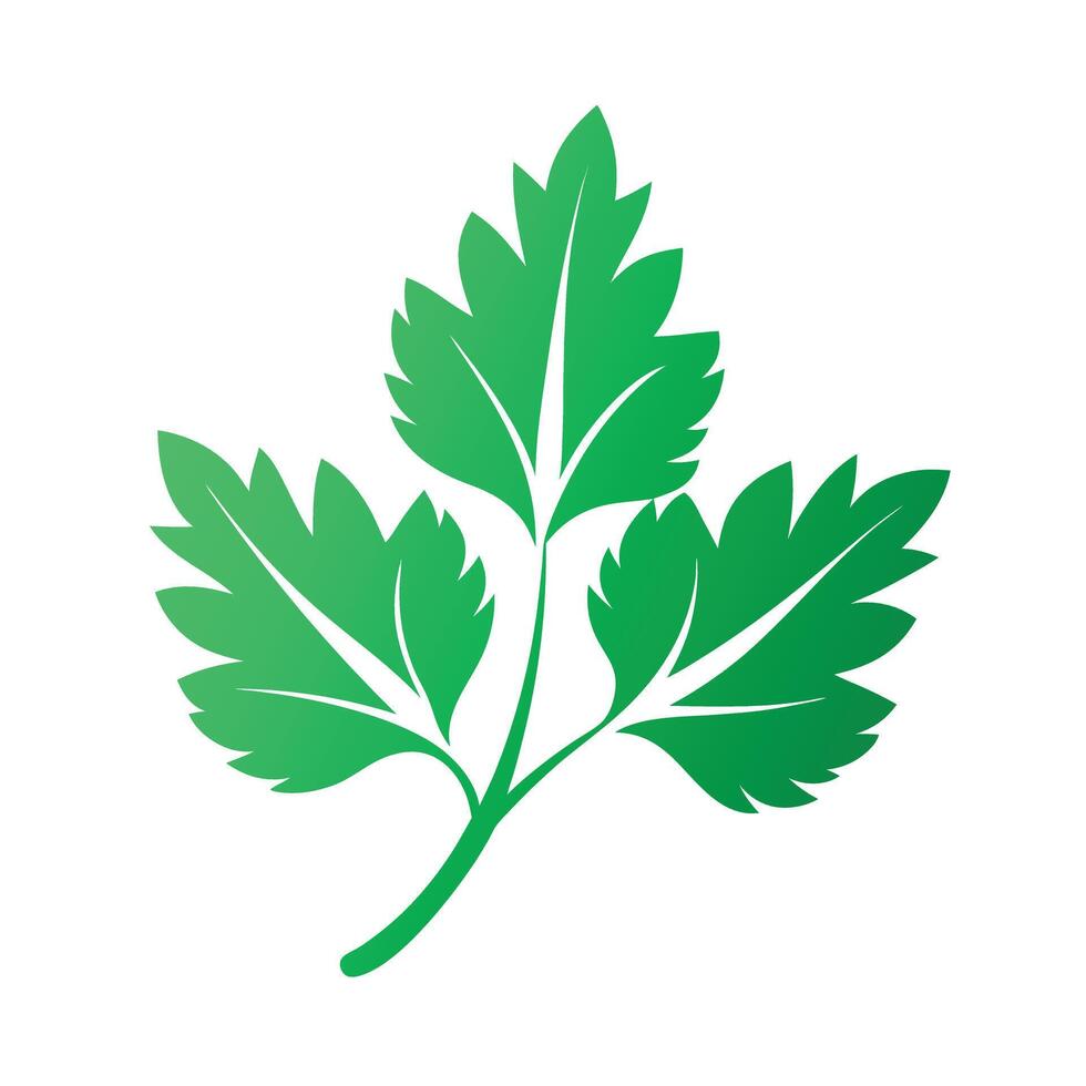 Realistic Beautiful Leaves Illustration vector