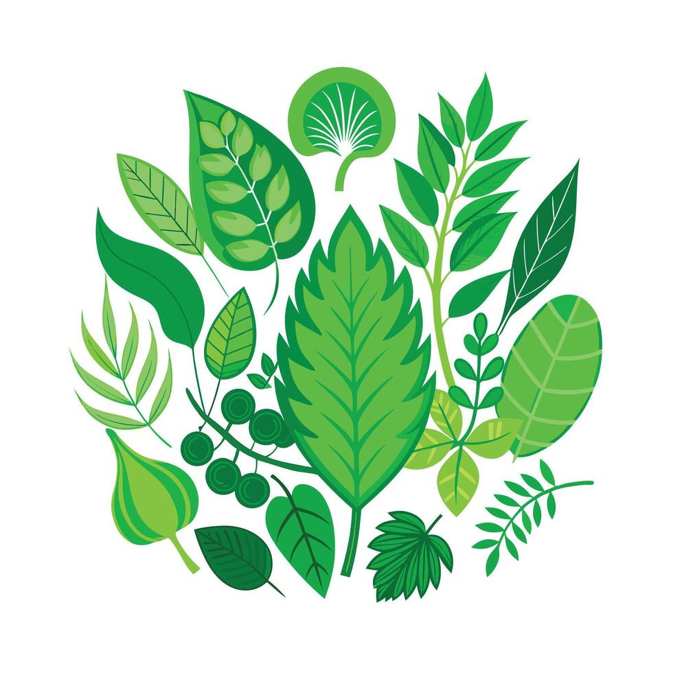 Realistic Beautiful Leaves Illustration vector