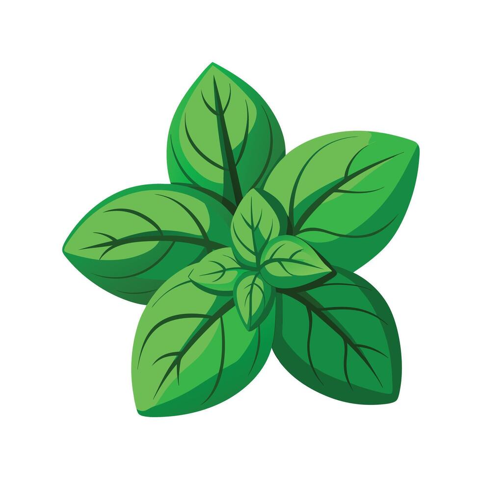Realistic Beautiful Leaves Illustration vector
