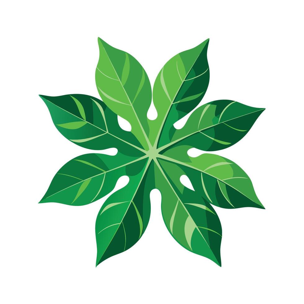 Realistic Beautiful Leaves Illustration vector