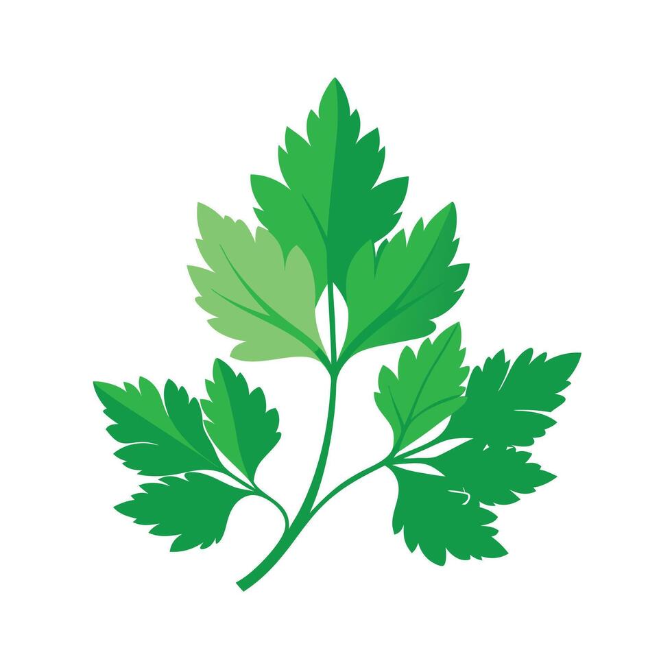 Realistic Beautiful Leaves Illustration vector