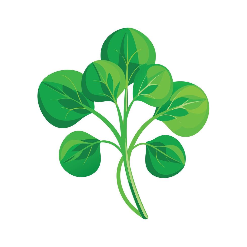 Realistic Beautiful Leaves Illustration vector