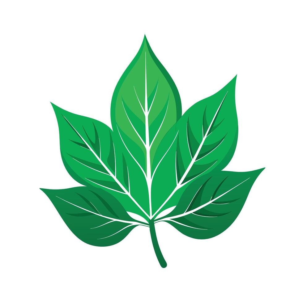 Realistic Beautiful Leaves Illustration vector
