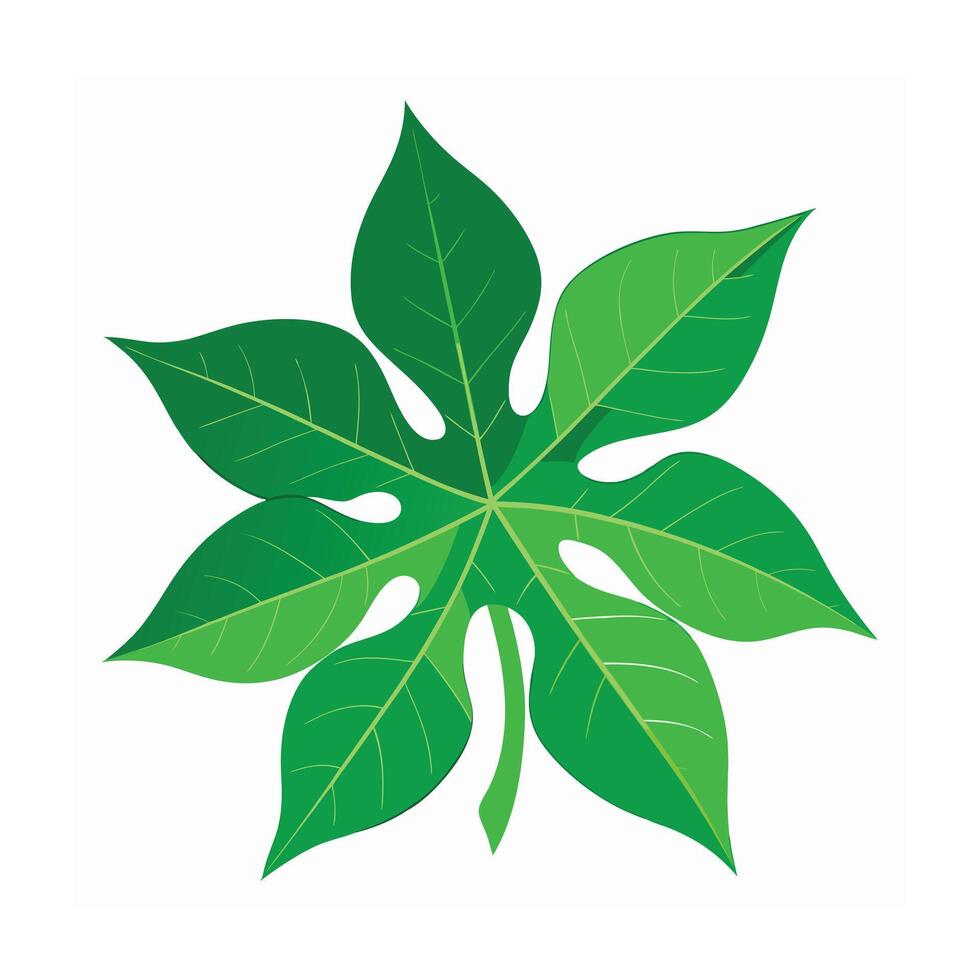 Realistic Beautiful Leaves Illustration vector